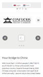 Mobile Screenshot of confucius-consultancy.com